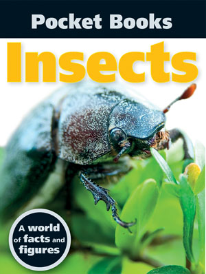 Pocket Books: Insects book cover