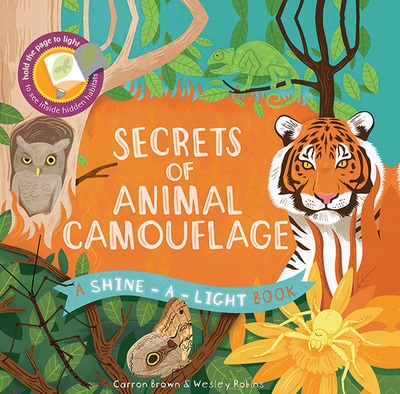 Secrets of Animal Camouflage book cover