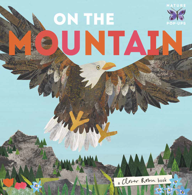 On the Mountain book cover